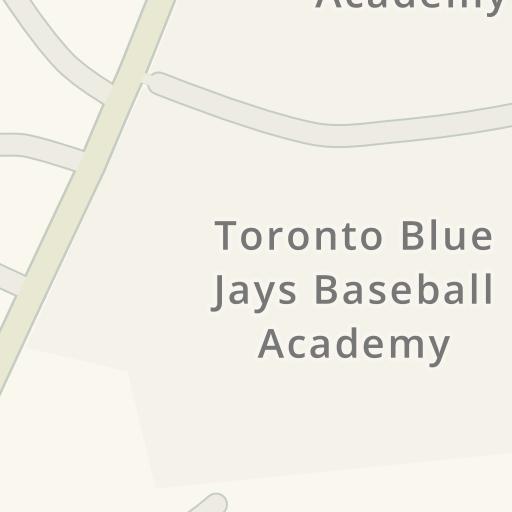 Baseball Academy  Toronto Blue Jays